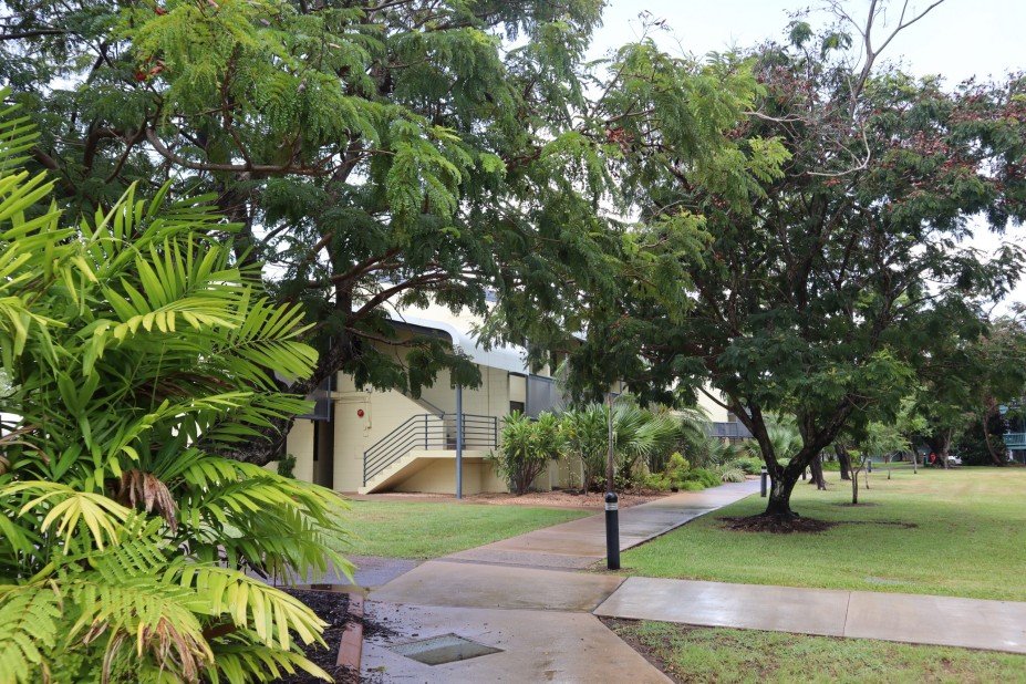 CDU Village Casuarina Campus1