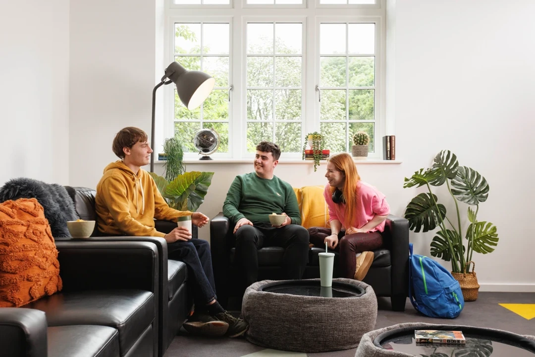 Houghall Court Durham TV Area