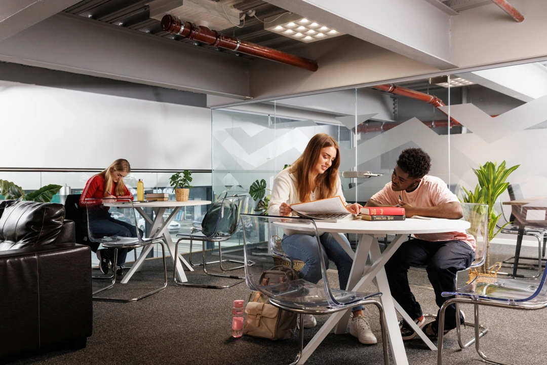 Shrubhill House Edinburgh Study