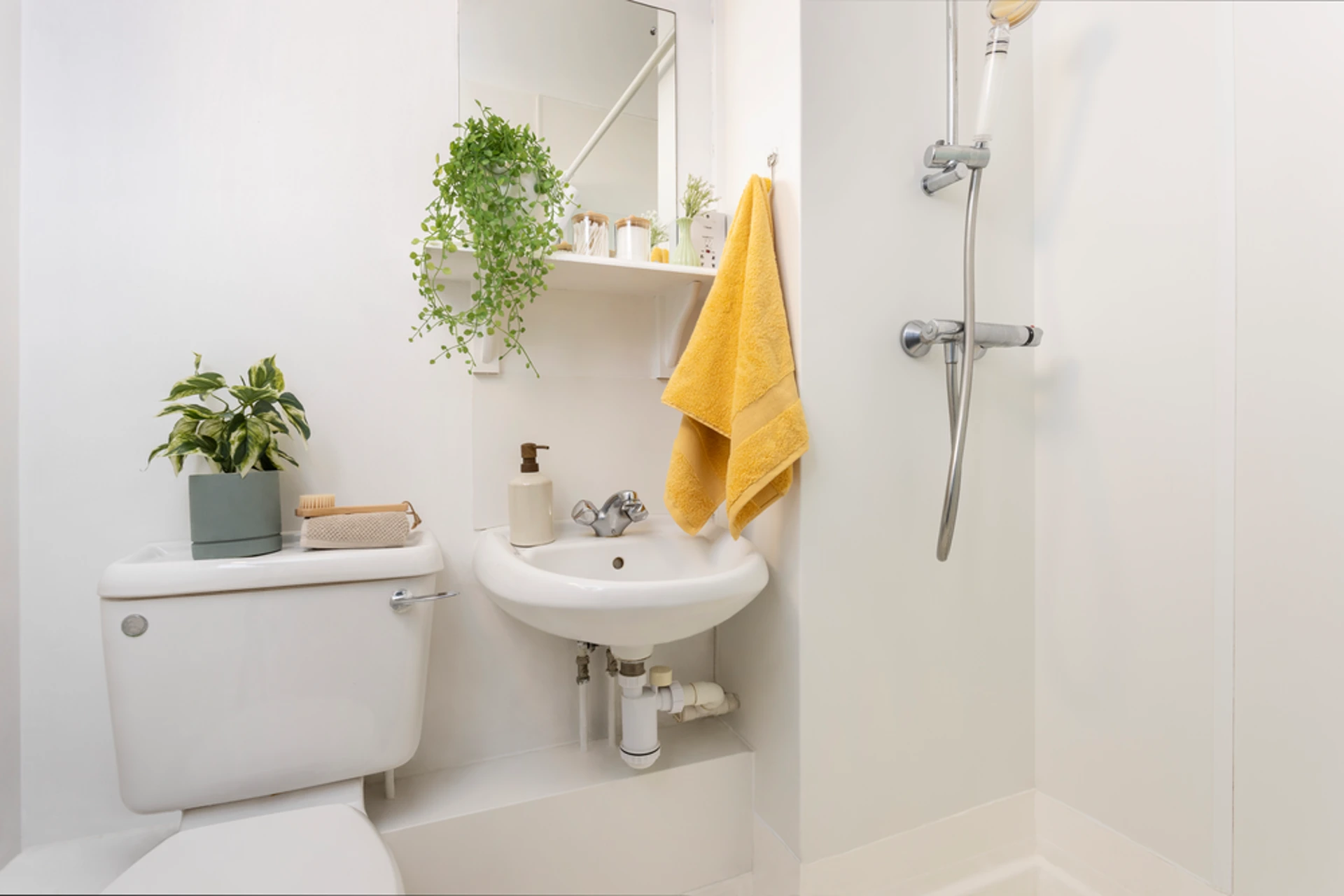 Magnet Court Newcastle Bathroom